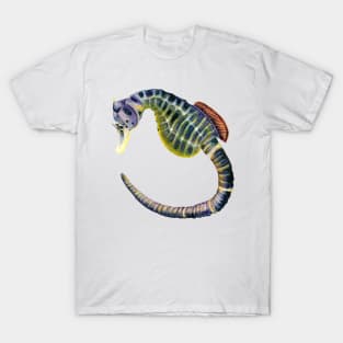 Big-bellied seahorse watercolour painting T-Shirt